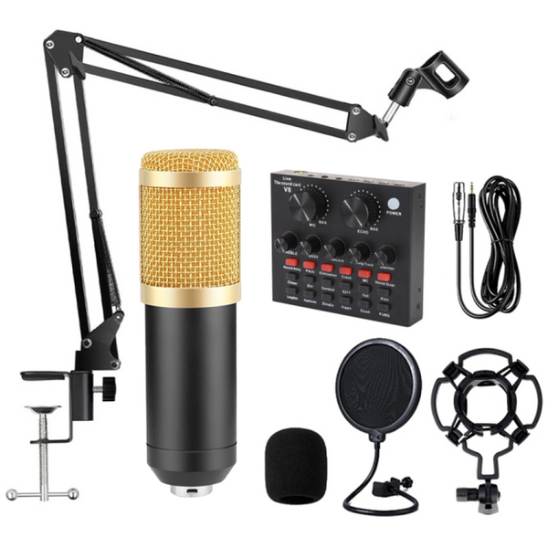 Podcast Mic Set With Live Sound Card